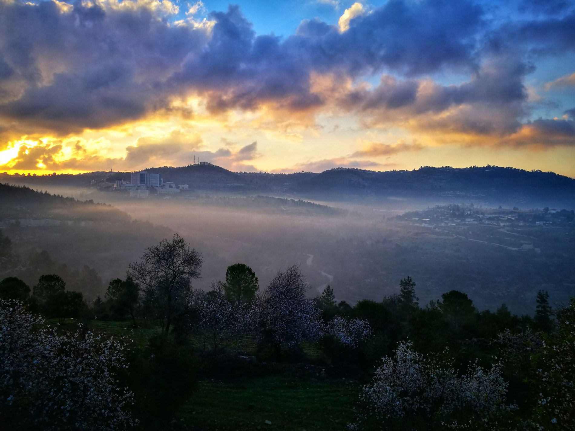 The View