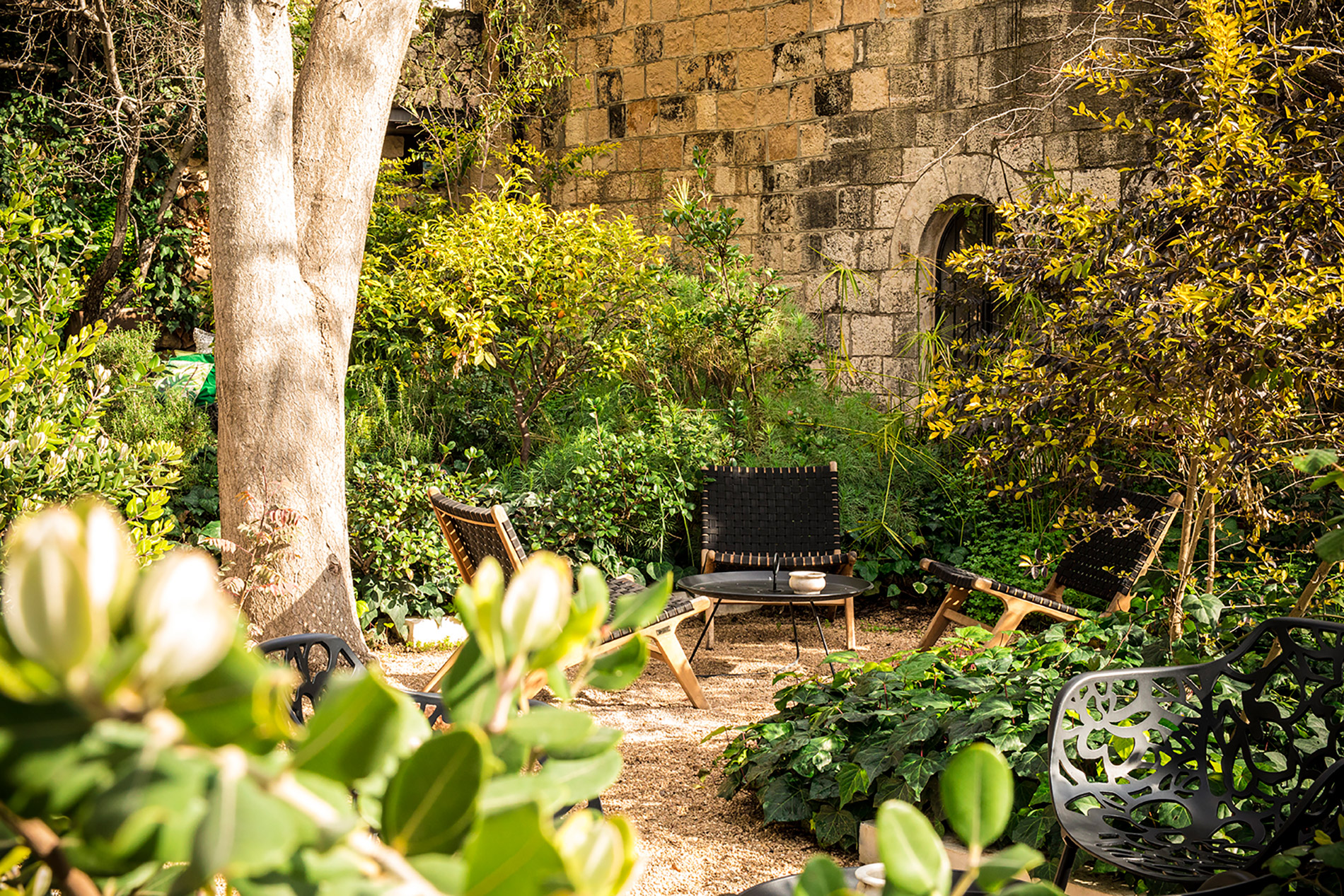 The Garden